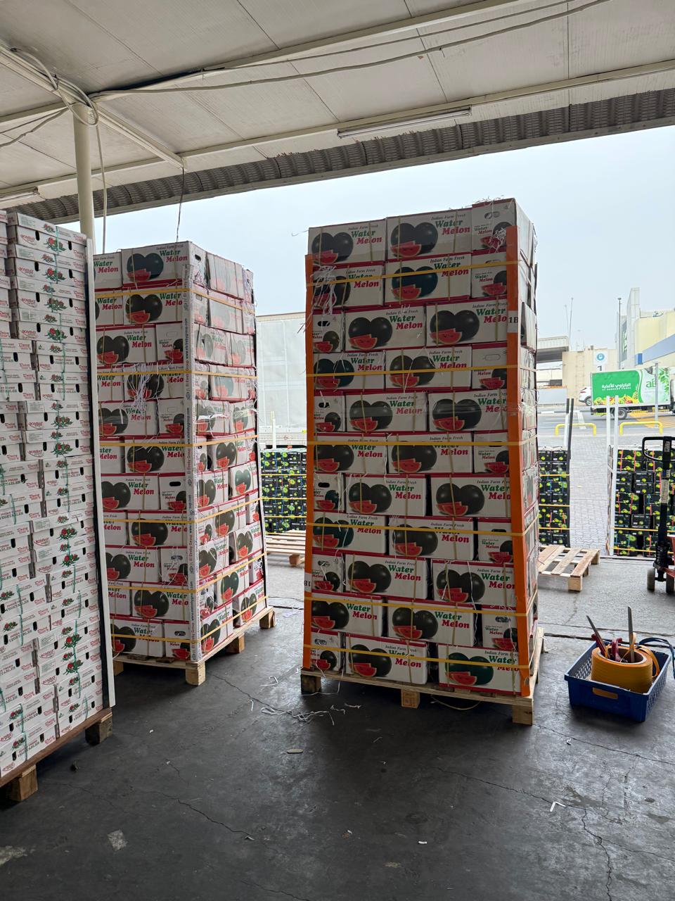 Creative Web Project