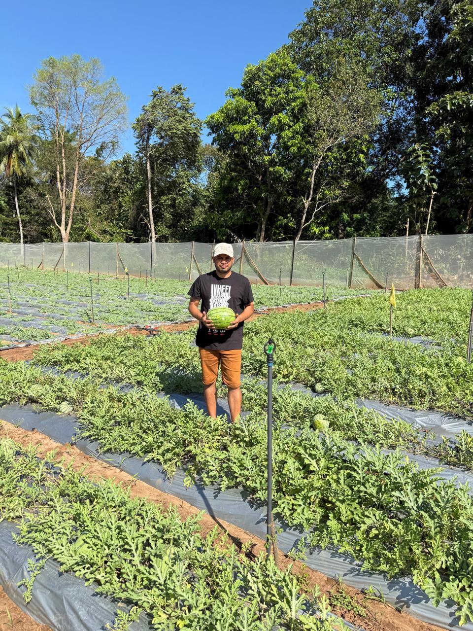 Creative Web Project