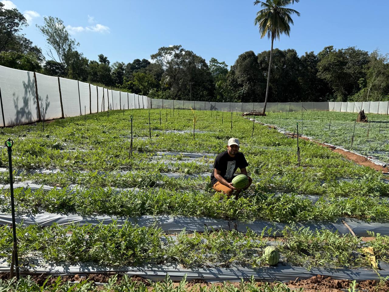 Creative Web Project