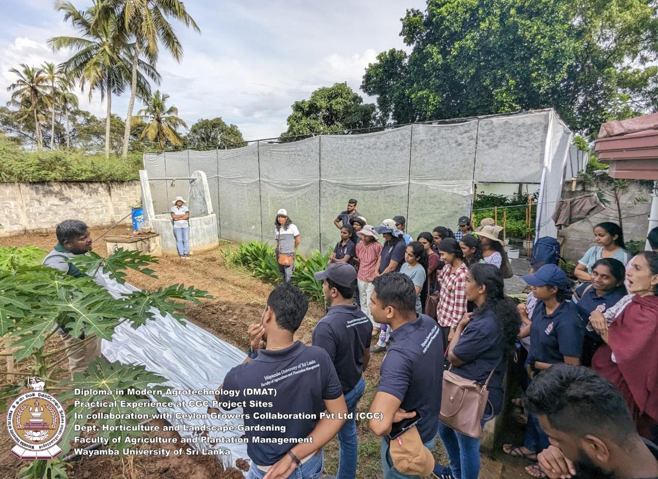 Creative Web Project