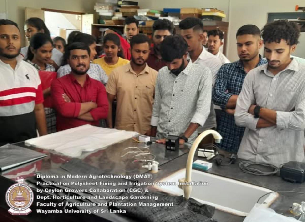 Creative Web Project