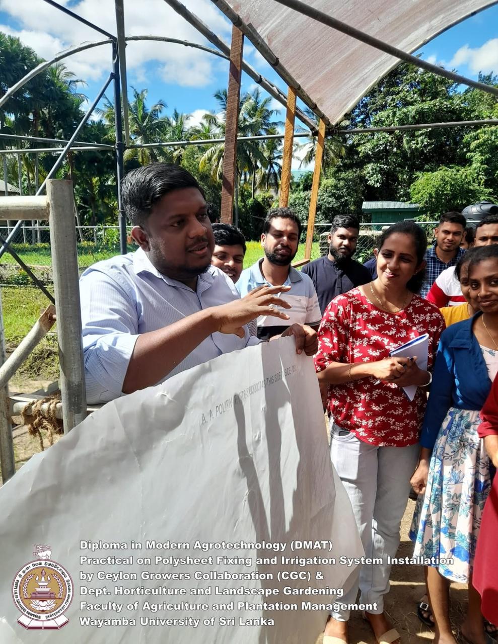 Creative Web Project