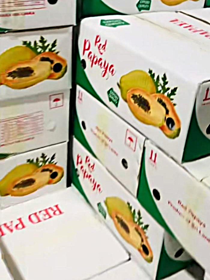 Creative Web Project