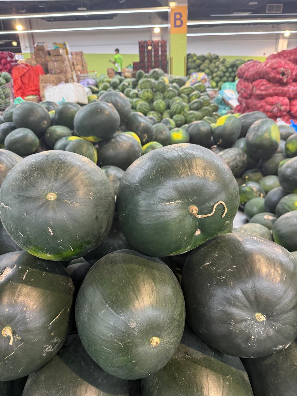 Creative Web Project