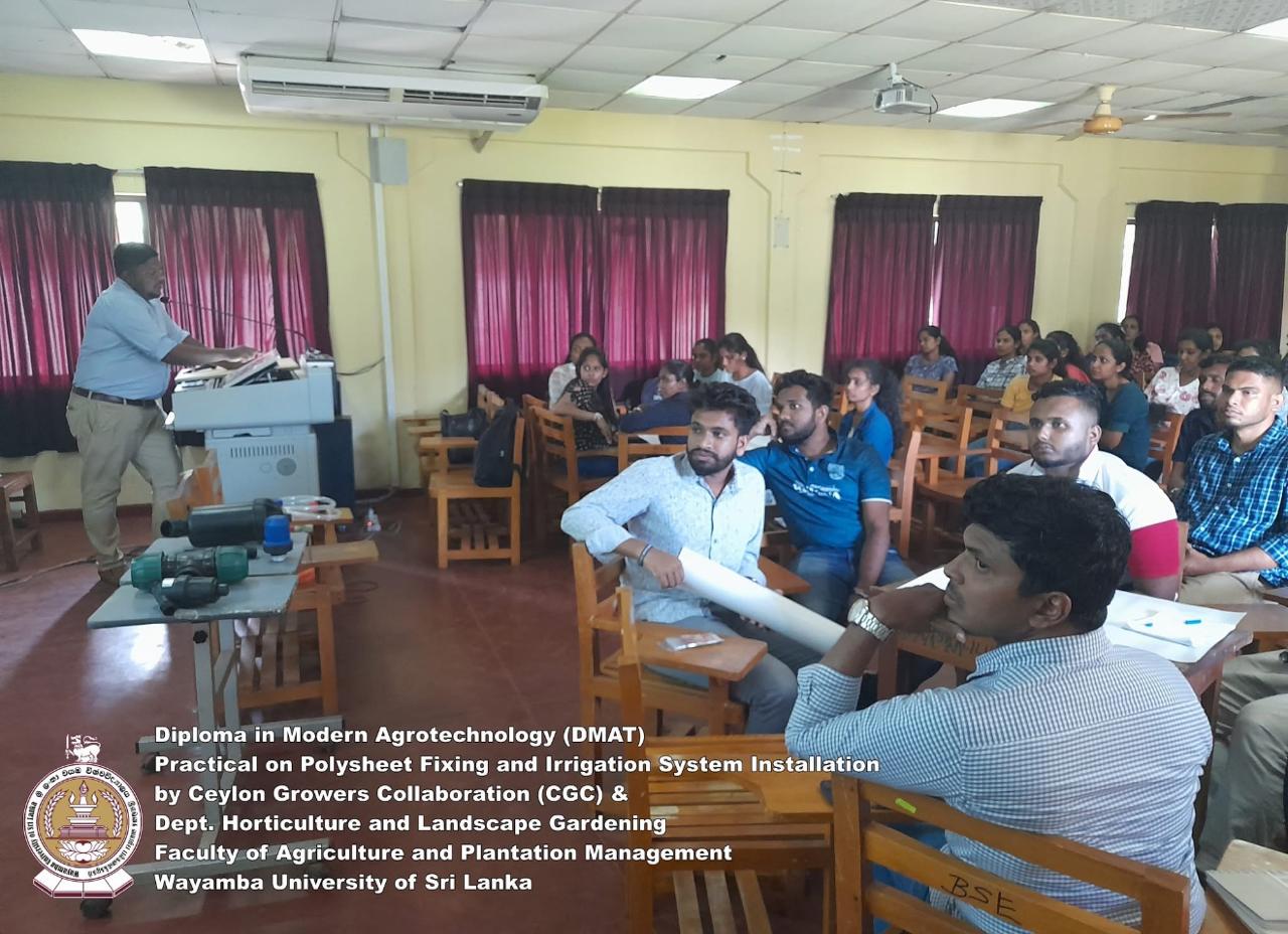 Creative Web Project