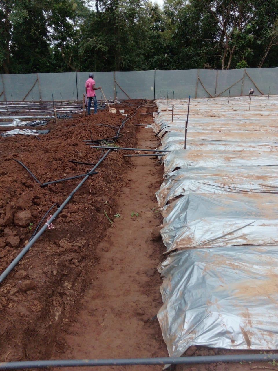 Creative Web Project