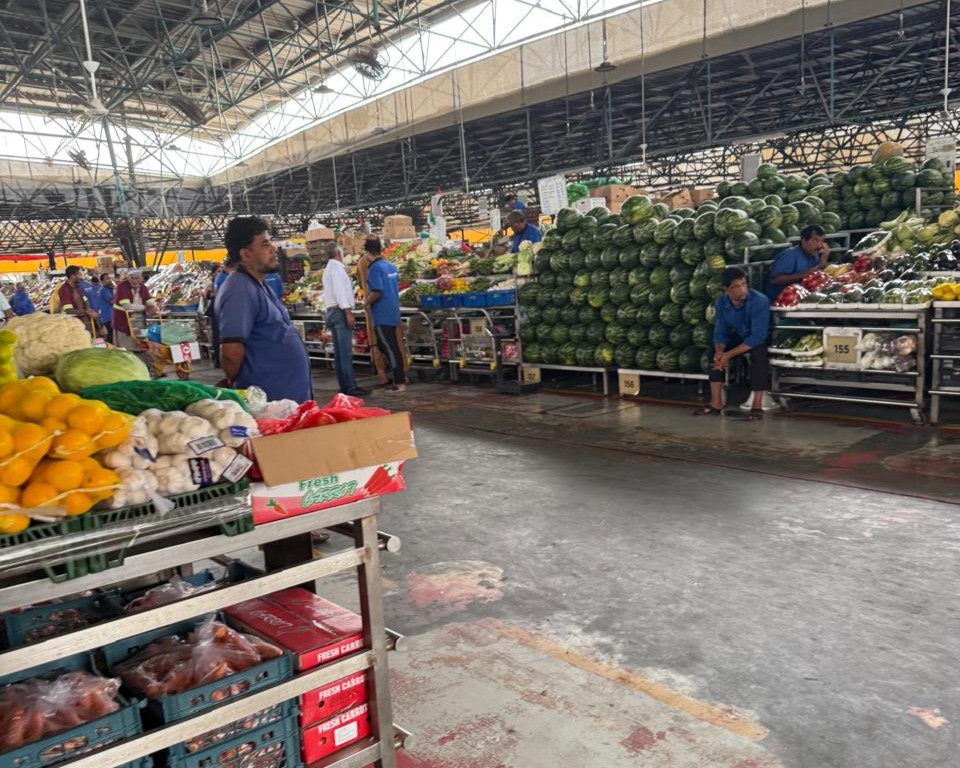 Creative Web Project