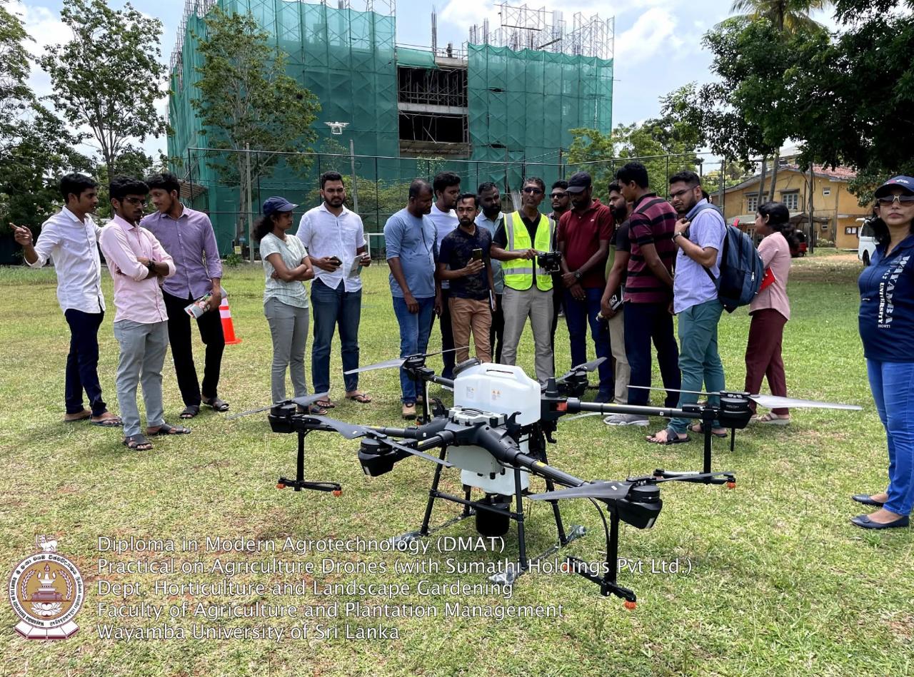 Creative Web Project